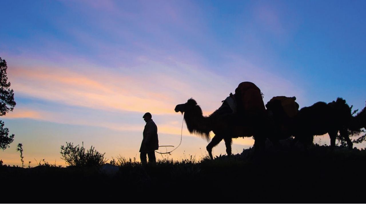 Kara Çadır Neye İtiraz Eder?